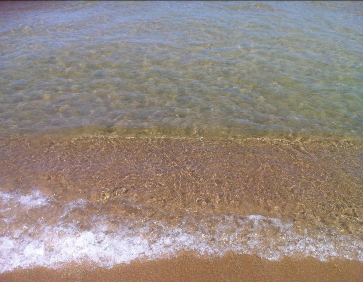 Casa Vacanze Sea-Life 阿尔卡莫马里纳 外观 照片