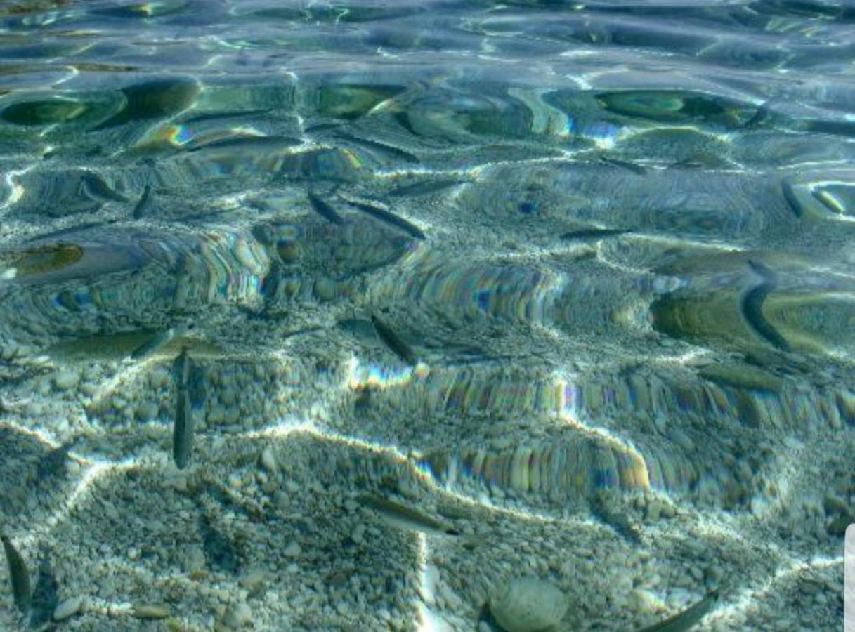 Casa Vacanze Sea-Life 阿尔卡莫马里纳 外观 照片